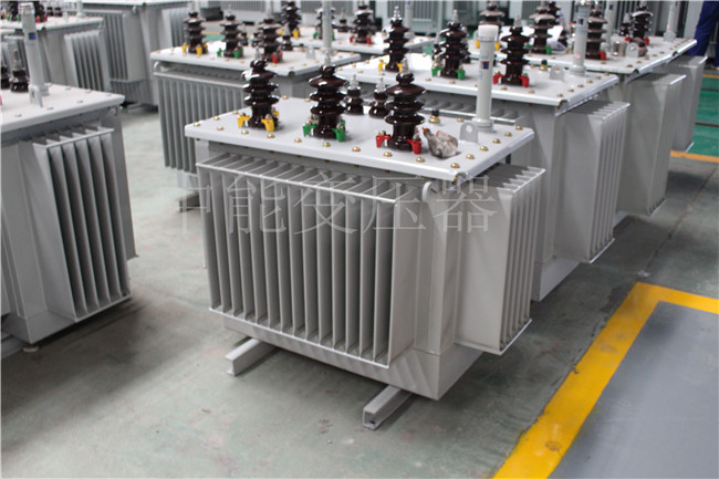 衡水S22-100KVA/10KV/0.4KV变压器